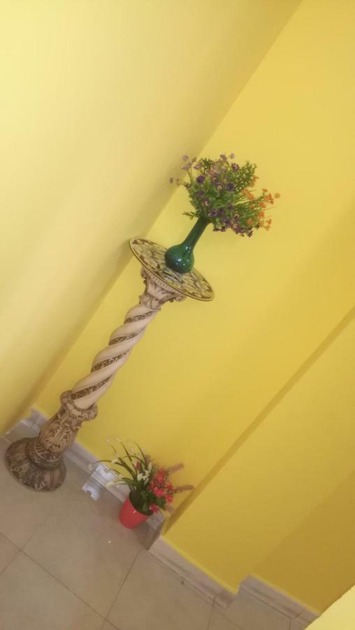 بيلباسو B&B Etneo المظهر الخارجي الصورة